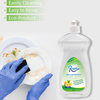 RiCheng 500ml Dishwash Liquid Fruit Cleaning For Household Kitchen 