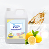 10L Private Label Food Grade High Efficiency Removal Grease Eco-friendly Dishwasher Liquid Detergent