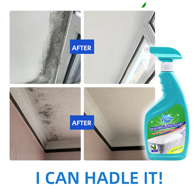 OEM 500ml Top Quality Stain Removal Cleaner Removes Odor Smelling Wall Mold